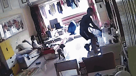 11.gif